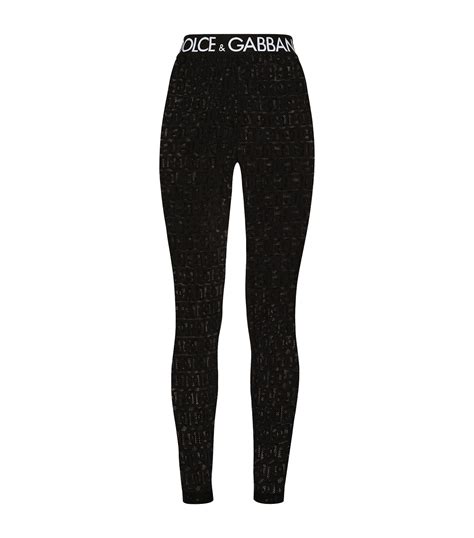 dolce gabbana odkolo womenn|Dolce & Gabbana leggings.